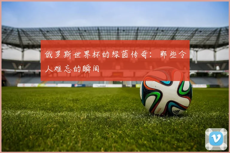 俄罗斯世界杯的绿茵传奇:那些令人难忘的瞬间