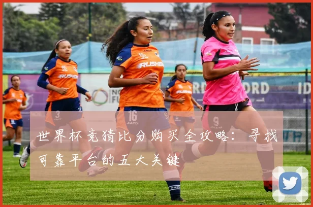 世界杯竞猜比分购买全攻略:寻找可靠平台的五大关键