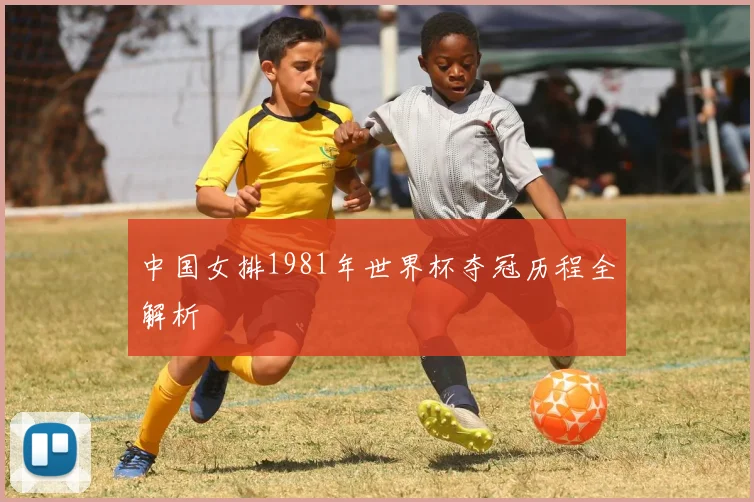 中国女排1981年世界杯夺冠历程全解析