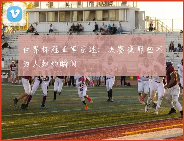 世界杯冠亚军亲述:决赛夜那些不为人知的瞬间