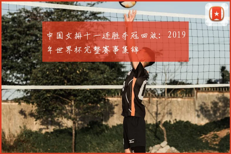 中国女排十一连胜夺冠回放：2019年世界杯完整赛事集锦