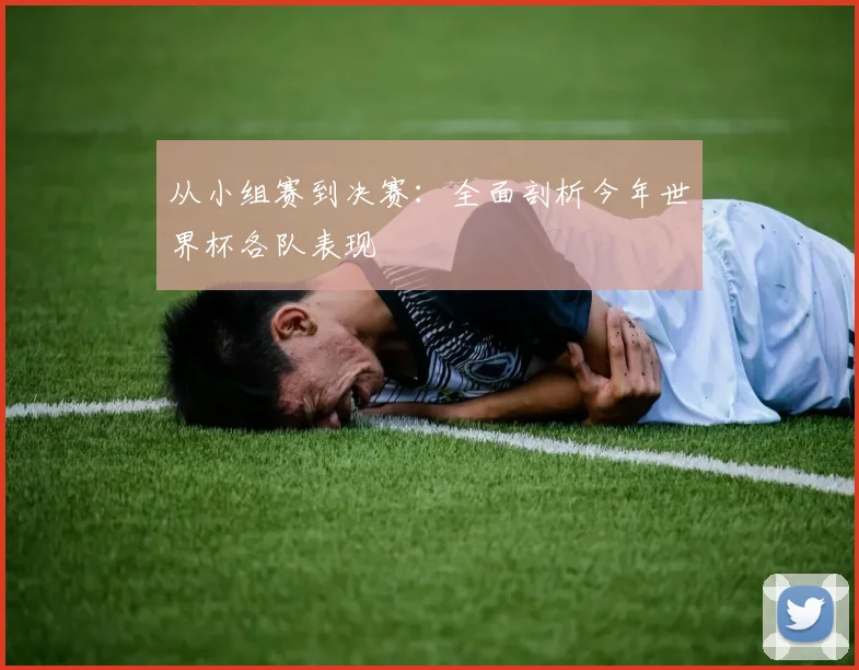 从小组赛到决赛：全面剖析今年世界杯各队表现