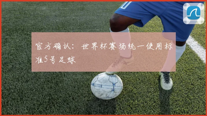 官方确认：世界杯赛场统一使用标准5号足球